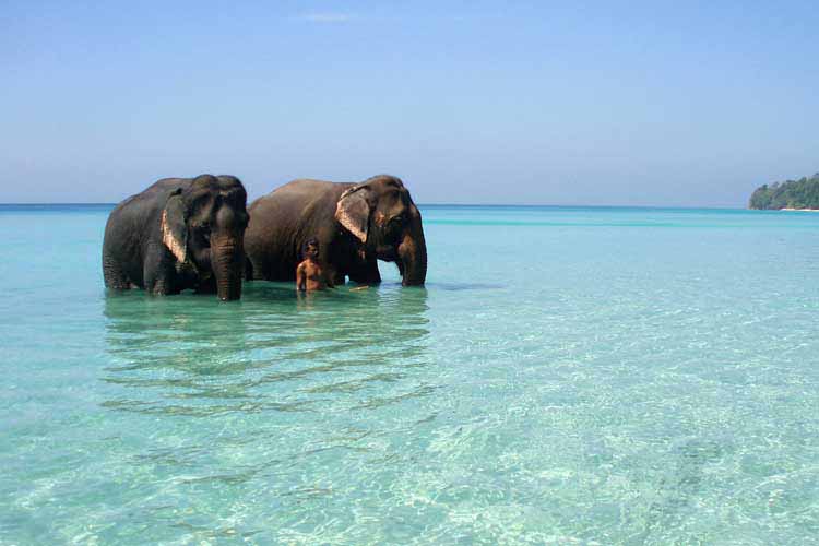 MAGICAL ANDAMAN